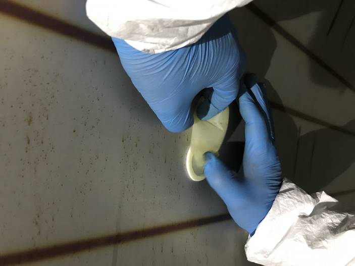 Measurement of soluble surface chlorides, sulfates and nitrates